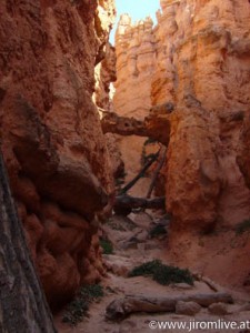 Bryce Canyon-10